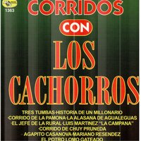 Agapito Casanova - Los Cachorros