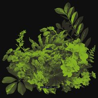 Parodia - OZé