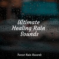 Rainy Woodland Ambience - Egyptian Meditation Temple & Sounds of Nature White Noise Sound Effects & Spa