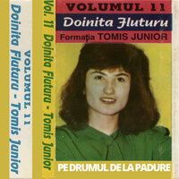 Mandra Mea Pe Drum Cand Trece - Tomis Junior
