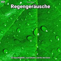 Regengeräusche, pt. 26 - Hennes Meines