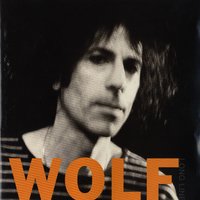 Sky High - Peter Wolf