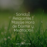 Calma Del Río Que Fluye - Música De Relajación Para Dormir Profundamente & Relaxamento Sons da Natureza Ruído Branco Musicas Clube & Masaje Tantrico Musica Colección