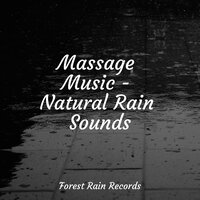 Woodland Ambience (Birds) - Meditative Music Guru & Relaxing Sleep Sound & Relaxation Personal Guru