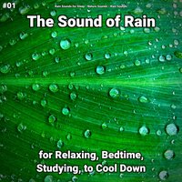 Singular Rain Sounds - Rain Sounds For Sleep & Nature Sounds & Rain Sounds