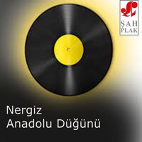 Bir Ay Doğar - Nergiz