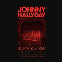 Lawdy Miss Clawdy (en duo avec Brian Setzer) - Johnny Hallyday & Brian Setzer