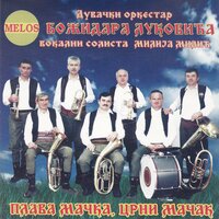 Oj livade rosne zelene - Duvacki orkestar Bozidara Lukovica & Milija Milic