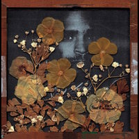 Avantcore - Busdriver