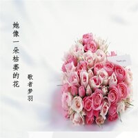 她像一朵枯萎的花 - 歌者梦羽