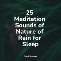 Sprinkling Drops - Lluvia & Rain Storm Sample Library & Meditation Relaxation Club
