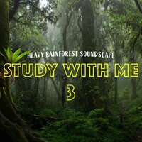 Heavy Rainforest Soundscape, Pt. 4 - Bryan Maxwell