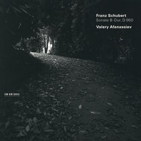 Schubert: Piano Sonata No. 21 in B-Flat Major, D. 960 - 3. Scherzo (Allegro vivace con delicatezza) - Valery Afanassiev & Франц Шуберт