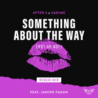 Something About The Way (Hot Or Not) Disco Mix - After 6 & 5&Dime & Janine Fagan