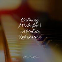 Cleansing Breath - Piano Time & Chillout Lounge Piano & Classical Study Music