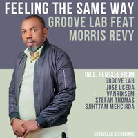 Feeling the Same - Groove Lab & Morris Revy