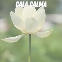 Avance - Musica para ambientar la casa