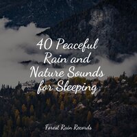 Night Droplets - Rain Sounds & Rain Sound Studio & The Rain Library
