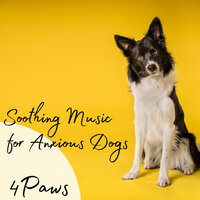 Pooch And Mutt Calm - Dogs music & Focus and Concentration & Spa Music For Dogs