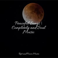 Destiny Unfolds - The Relaxation Principle & Massage Therapy Music & Ambientalism