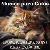 Acuarela de Descanso Felino - Relax My Cat & Cat Music Dreams & Cat Music Zone