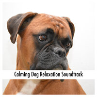 Pup Chillout Sounds - Relaxing Dog Music