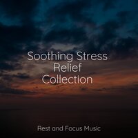 Grounded - Chakra Balancing Sound Therapy & Nature Sounds Nature Music & Sleep Music