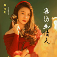 酒伤痴情人 - 燕宝儿 & DJ阿本