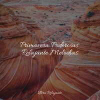 Tierra Dormida - Música para Massagem Especialistas & Ambiente & Musica relajante con sonidos de la naturaleza