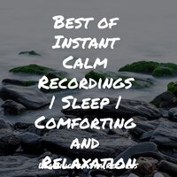 Soft Sounds - Nature Sounds Nature Music & Calm Down & The Sleep Specialist