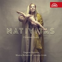 Vánoční intermezzo - Dagmar Pecková