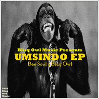 Planet Jupiter - Bee Soul & Blaq Owl