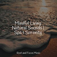 Origins of Dreams - Binaural Beats & Sounds of Nature White Noise Sound Effects & Nature Sounds Nature Music