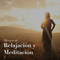 Mejor Sonidos de la Naturaleza - Backstage Expectations