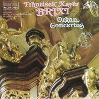 Concerto for Organ and Orchestra in C Major: II. Adagio I - Prague Chamber Orchestra & Frantisek Vajnar & Jan Hora