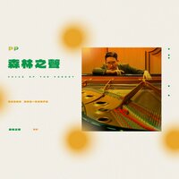 松林里微冷的一天 - pp
