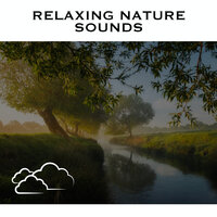 Quiet Stream - Loopable - Loopable Radiance & Relaxing Water Sounds & Calm Water Sounds