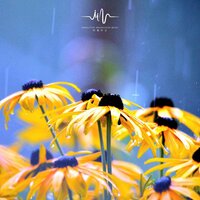 柚花海 - 禅修音乐盒