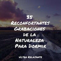 Ondas Internas - Meditacao Clube & Sons da natureza HD & Musica Para Dormir