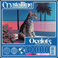 Beachfront Baubles - Music for Sleeping Puppies