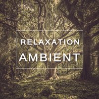 Relaxing Therapy - Sounds of Nature White Noise for Mindfulness