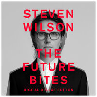 MAN OF THE PEOPLE - Steven Wilson