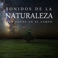 Sonido de la Lluvia por la Noche, Pt 02 - Para Dormir