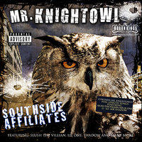 I Wanna Fuck Me Some Hoes (feat. Slush the Villian) - Slush the Villian & Mr. Knight Owl