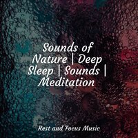 Carry On - The White Noise Zen & Meditation Sound Lab & Relaxation Music Guru & Exam Study Classical Music