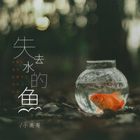失去水的鱼 - 小高哥