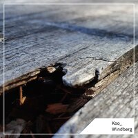 Akksel - Koo & Marco Weinhold & Koo