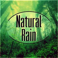 Soft Rains - Healing Rain Sound Academy