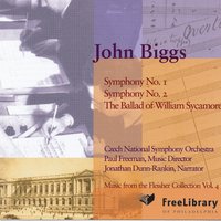 Symphony No. 1: II. Adagio Mesto - Czech National Symphony Orchestra & Paul Freeman