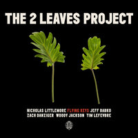 Catherine Wheel - Nicholas Littlemore's The Two Leaves Project & Woody Jackson & Zach Danziger & Jeff Babko & Tim Lefevbre